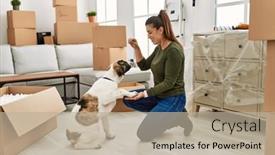  Presentation with teaching - Presentation design featuring young-woman-teaching-dog background and a mint green colored foreground