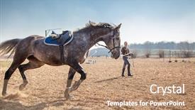  Presentation with rotary training - Cool new slide set with young woman training a horse backdrop and a coral colored foreground