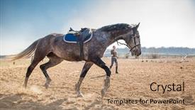  Presentation with medical simulation training - Amazing presentation theme having young woman training a horse backdrop and a coral colored foreground