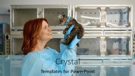  Presentation with kitten - Presentation featuring young-woman-veterinarian-playing background and a light blue colored foreground