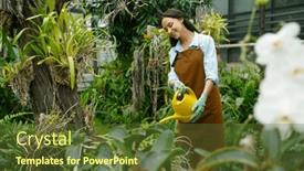  Presentation with garden tools - Presentation theme consisting of young-woman-watering-flower-plants background and a tawny brown colored foreground