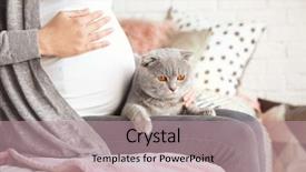  Presentation with pregnant woman cleaning - Beautiful presentation featuring young woman with cute pet backdrop and a coral colored foreground