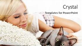  Presentation with gray - Colorful theme enhanced with young woman with gray sphinx backdrop and a white colored foreground