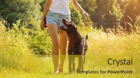  Presentation with guide dog helping blind woman - Slides enhanced with young woman with her dog background and a gold colored foreground