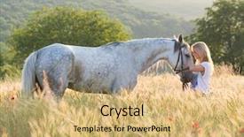  Presentation with white horse - Slide set featuring young woman with horse outdoor background and a yellow colored foreground