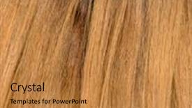  Presentation with long hair - Audience pleasing presentation design consisting of young woman with long blond hair rear view backdrop and a gold colored foreground