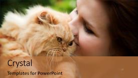  Presentation with persian - PPT theme enhanced with young woman with persian cat background and a coral colored foreground