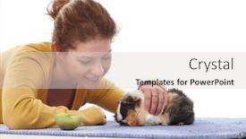  Presentation with guinea pig - Slide deck featuring young women lying on floor with guinea pig background and a lemonade colored foreground