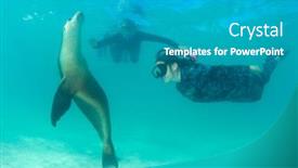  Presentation with lion - Amazing slide deck having young-women-snorkel-and-dive backdrop and a teal colored foreground