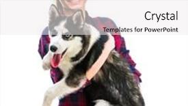  Presentation with husky - Presentation theme featuring women with her puppy husky background and a white colored foreground