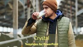  Presentation with cattle - Presentation featuring young-worker-of-modern-cowfarm background and a  colored foreground