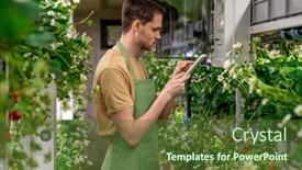  Presentation with vertical farm - Colorful PPT layouts enhanced with young-worker-of-vertical-farm backdrop and a tawny brown colored foreground