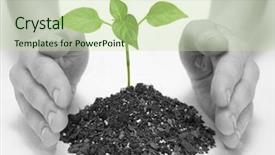  Presentation with holding hands - Presentation theme consisting of youth development - wooman holding a plant background and a mint green colored foreground