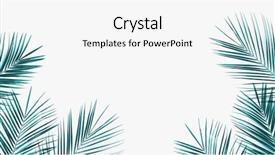  Presentation with green coconut - PPT layouts enhanced with youtube - green coconut leaves frame isolated background and a white colored foreground