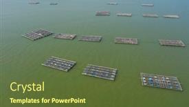  Presentation with oyster - PPT theme consisting of yuen-long-lau-fau-shan background and a tawny brown colored foreground