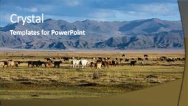  Presentation with mongolia - Colorful theme enhanced with landscape of the steppe backdrop and a teal colored foreground