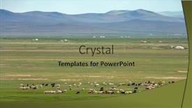  Presentation with mongolia - Audience pleasing theme consisting of yurts-and-herd-of-sheep backdrop and a coral colored foreground