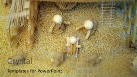  Presentation with christmas jesus - 