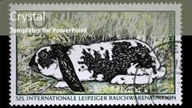  Presentation with international trade - 