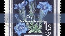  Presentation with gentian - 