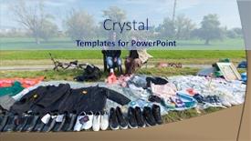  Presentation with flea - 