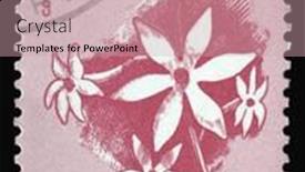  Presentation with cuba - 