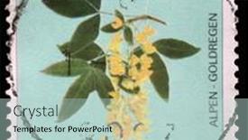  Presentation with scotch - 