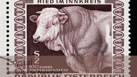  Presentation with prize - 