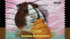  Presentation with guinea pig - Slide deck with zagreb-croatia-september-11-2014 background and a tawny brown colored foreground