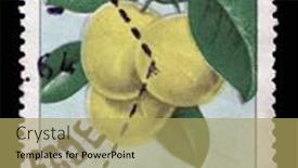  Presentation with croatia zagreb - 