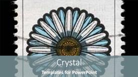  Presentation with chrysanthemum - 