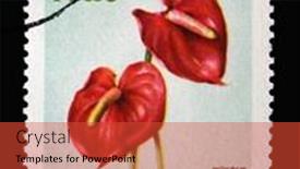  Presentation with czechoslovakia - Audience pleasing PPT theme consisting of zagreb-croatia-september-18-2014 backdrop and a red colored foreground