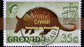  Presentation with flora fauna - Slide set enhanced with zagreb-croatia-september-18-2014 background and a tawny brown colored foreground