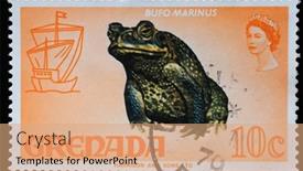  Presentation with flora fauna - Colorful slide set enhanced with zagreb-croatia-september-18-2014 backdrop and a coral colored foreground