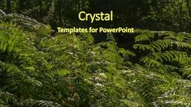  Presentation with ancient - Beautiful PPT theme featuring zamora spain trees over 500 backdrop and a wine colored foreground