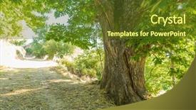  Presentation with trees forest lumber - Cool new presentation theme with zamora spain trees over 500 backdrop and a tawny brown colored foreground