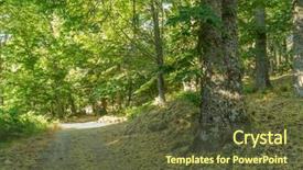  Presentation with ancient - Theme consisting of zamora spain trees over 500 background and a tawny brown colored foreground