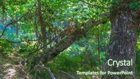  Presentation with ancient history assyria - Colorful PPT layouts enhanced with zamora spain trees over 500 backdrop and a tawny brown colored foreground