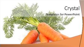  Presentation with leaves - Slide set consisting of zanahoria - carrot vegetable with leaves isolated background and a white colored foreground
