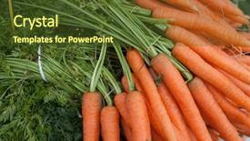  Presentation with carrots - Amazing PPT theme having zanahoria - fresh clean carrots with foliage backdrop and a tawny brown colored foreground