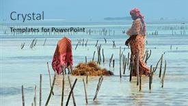  Presentation with zanzibar - PPT layouts consisting of zanzibar-tanzania-october-25-2014 background and a light blue colored foreground