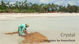  Presentation with zanzibar - 