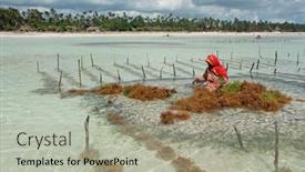  Presentation with zanzibar - 