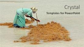  Presentation with zanzibar - 