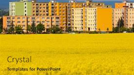  Presentation with czech republic - Colorful presentation theme enhanced with zatec-town-and-rapeseed-field backdrop and a gold colored foreground