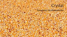  Presentation with zea mays - Amazing presentation theme having zea mays - corn drying in the sun backdrop and a  colored foreground