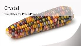 Presentation with zea mays - Beautiful presentation featuring zea mays - single fresh raw colorful gem backdrop and a white colored foreground