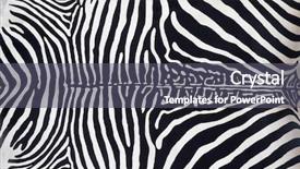  Presentation with texture of synthetic leather buff - Beautiful presentation theme featuring zebra leather skin texture painted backdrop and a dark gray colored foreground