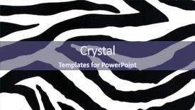  Presentation with pattern - Slide deck having zebra pattern background background and a ocean colored foreground