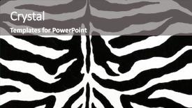  Presentation with skin - Audience pleasing presentation theme consisting of zebra skin pattern backdrop and a  colored foreground